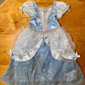 Disney Cinderella Costume